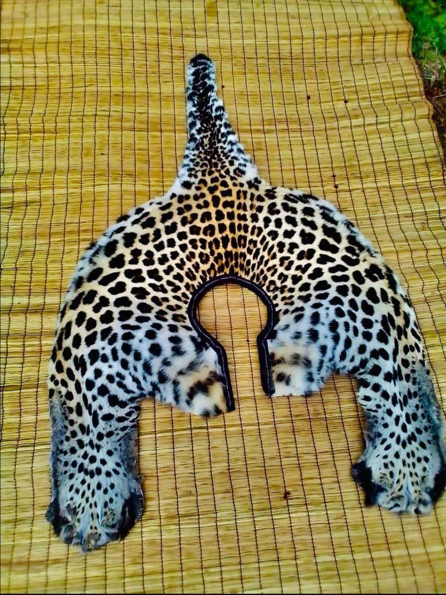 ZuluSweG's tweet photo. @phume22 Phume this is my work ungangihleki 😬 https://t.co/VnVz1ZI0V1