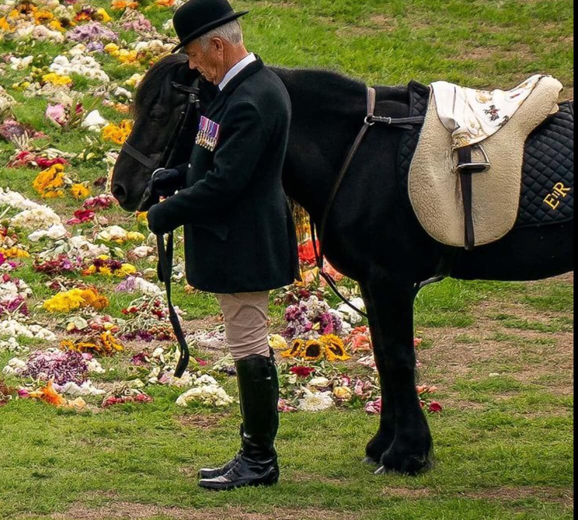 RoyaltybyPaul's tweet photo. Found this online (NO Photographer credit I'm afraid. sorry...............)_
Emma, HM Queen Elizabeth II's horse waits for her.
The Queen's headscarf resting on the saddle. https://t.co/nYbcTawBXu