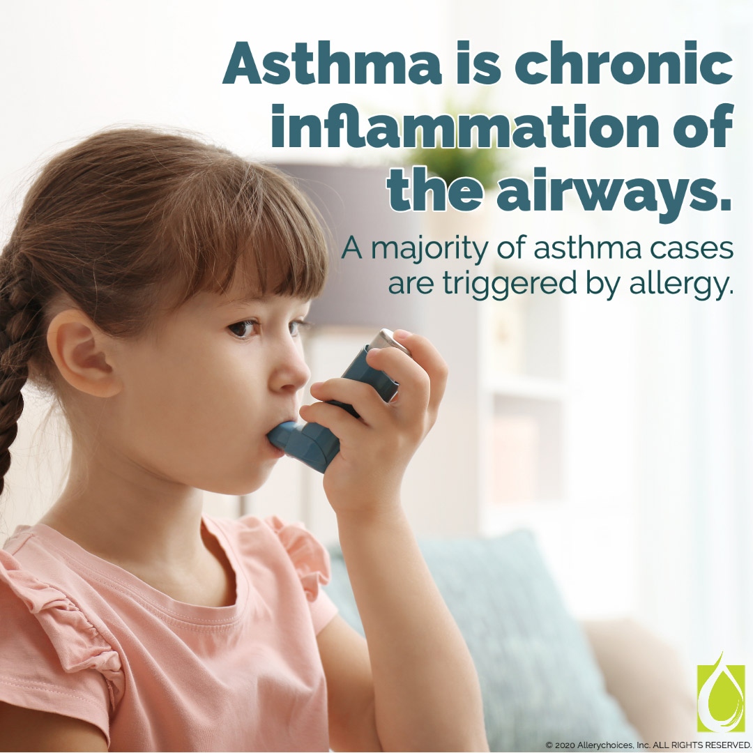 DpcHuman's tweet image. Do you suffer from these hidden allergic conditions?

Asthma
Sinusitis
Eczema
Anaphylaxis
Migraine

Allergies impacts about 1 in 5 of our patients! Call now: 402-533-2223

#allergies #allergytreatment #allergy #HHDPC