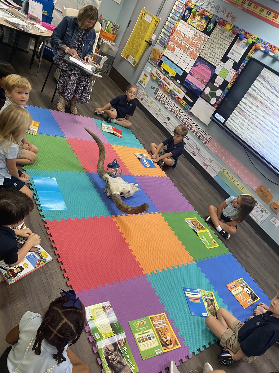 Discovery circle brings up lots of questions about goats vs. bulls, the differences between the two, and the naming of the mystery item in the middle of the circle. 😊 #WhyBrookstone #BrookstoneLS