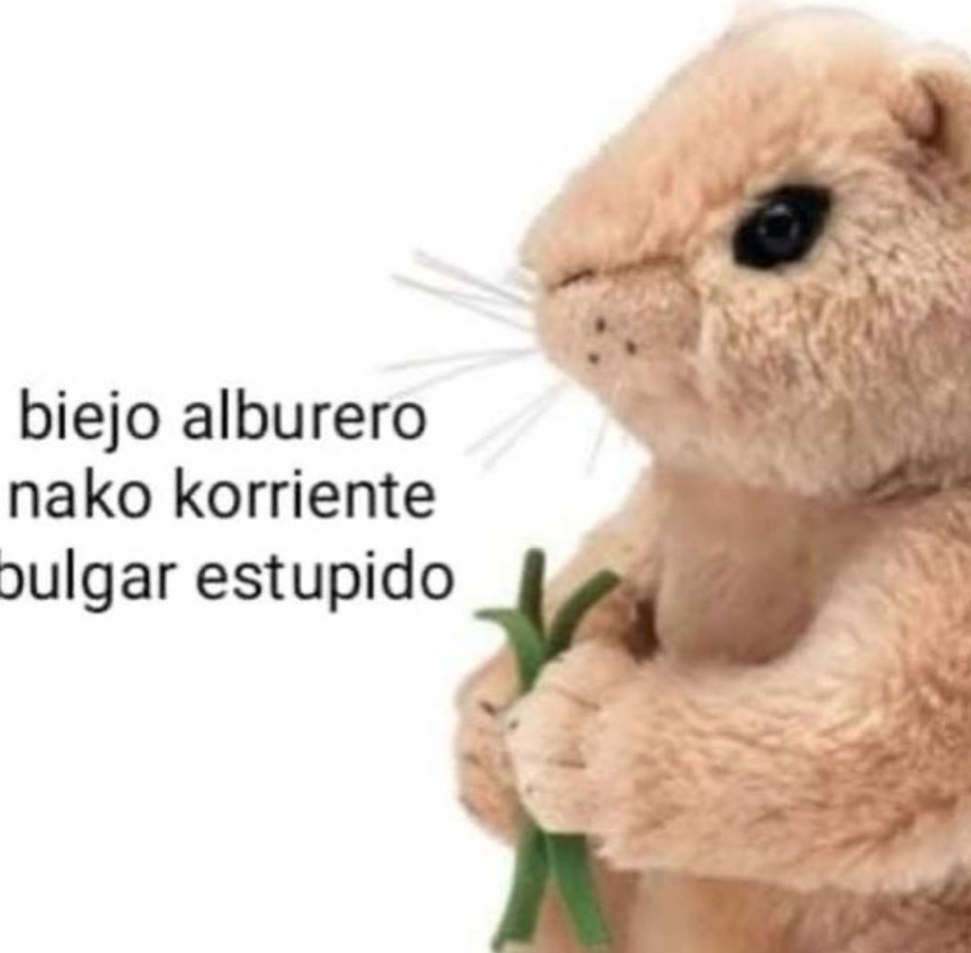Elios17_'s tweet photo. @LionGGz https://t.co/UsvUlrz329