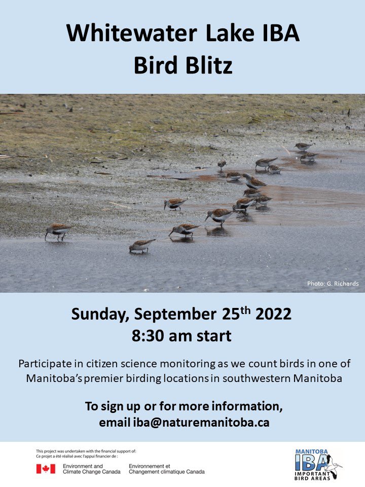 ManitobaIBA's tweet photo. Join us for a bird blitz at Whitewater Lake IBA on Sunday September 25th! The focus will be on counting shorebirds, but we expect there will be lots of other birds such as raptors and waterfowl as well. Email iba@naturemanitoba.ca to sign up. https://t.co/U3Xurt7gO2