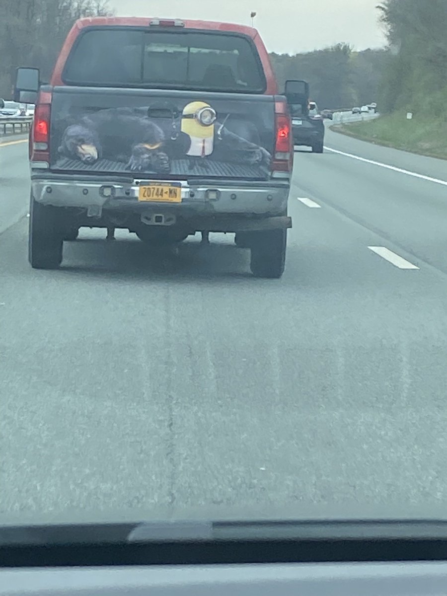 Kfire_24's tweet photo. @fuckedupcars I saw him on the road a few months ago https://t.co/fgH4CbTnET