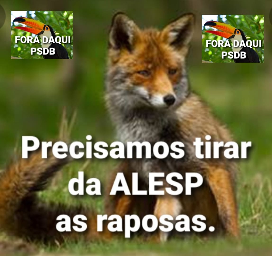 aposentado_sp's tweet photo. PACIÊNCIA E PERSISTÊNCIA, o aposentado não  joga a toalha!!!
TODOS UNIDOS PARA APLAUDIR A DERROTA  DE RODRIGO GARCIA E CARLÃO PIGNATARI
@rodrigogarcia_
@carlaopignatari
@PSDB_SP
@UOLNoticias
@tvglobo
#RodrigoGarciaZero https://t.co/fuKpK0a3ag