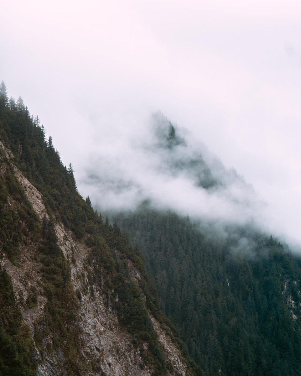 sean_steezy's tweet photo. No one has asked but here are few favorites from my trip to Alaska. Enjoy https://t.co/esA2hO5sNl
