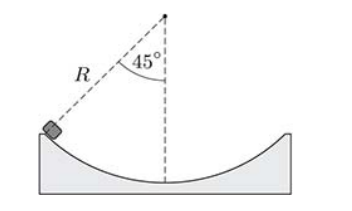 A rubber eraser is placed at one edge of a quarter-circle-shaped track of radius R. It is then released. The coefficient of friction between the eraser and the surface of the track is μ = 0.6. Will the eraser move at all?