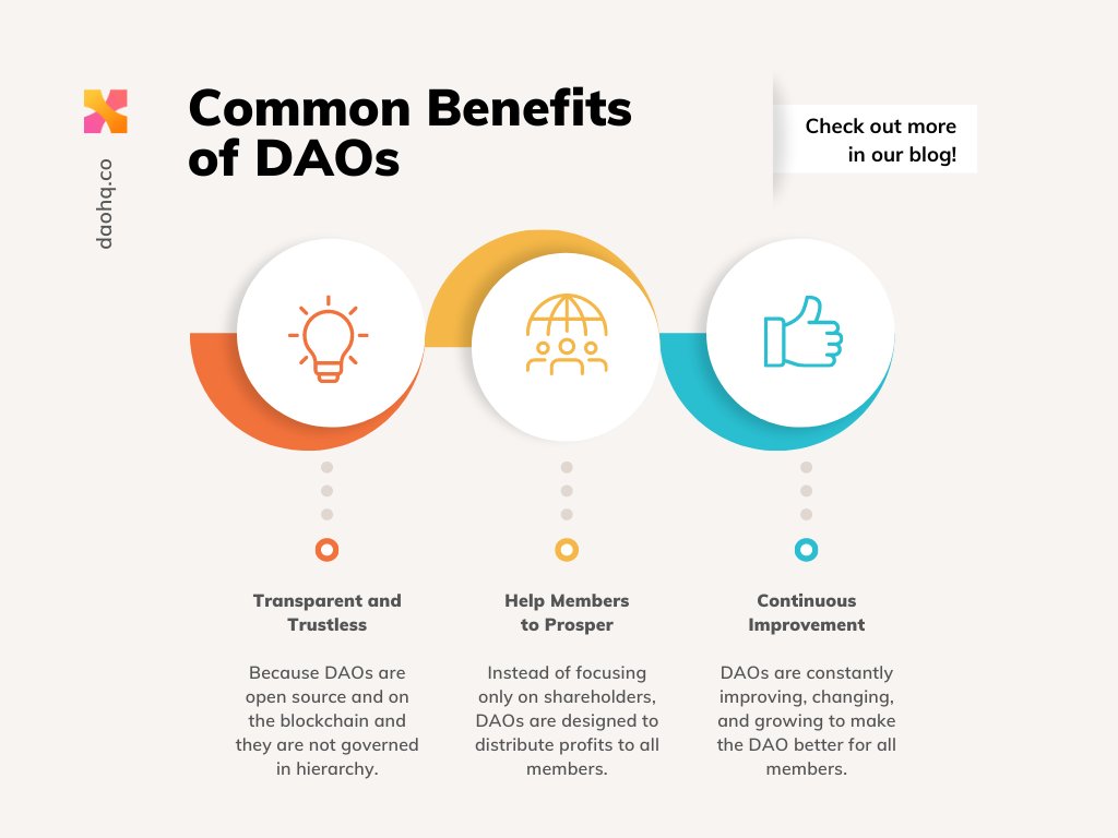 dao_hq's tweet photo. DAOs are the biggest trends in crypto for a reason👇 https://t.co/QE4eADJgiM