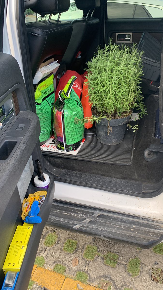 rogervanderveer's tweet photo. Iba al súper y terminé comprando plantas en Home Depot 👨🏻🌾 #lavanda remedio para el #tabano de #tulum ✨ https://t.co/Ob6m2wblzD