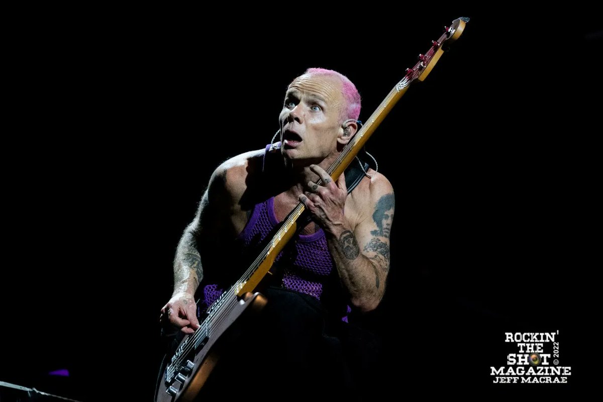 rockintheshot's tweet photo. A few teaser shots from last night's sold out @ChiliPeppers show at @GlobeLifeField 🔥🔥 @flea333 @johnfrusciante @RHCPchad #redhotchilipeppers #concert #concertphotography #musicphotography #photography #photographer #livemusic #funk #music #Rock https://t.co/eu9JwhiQIG