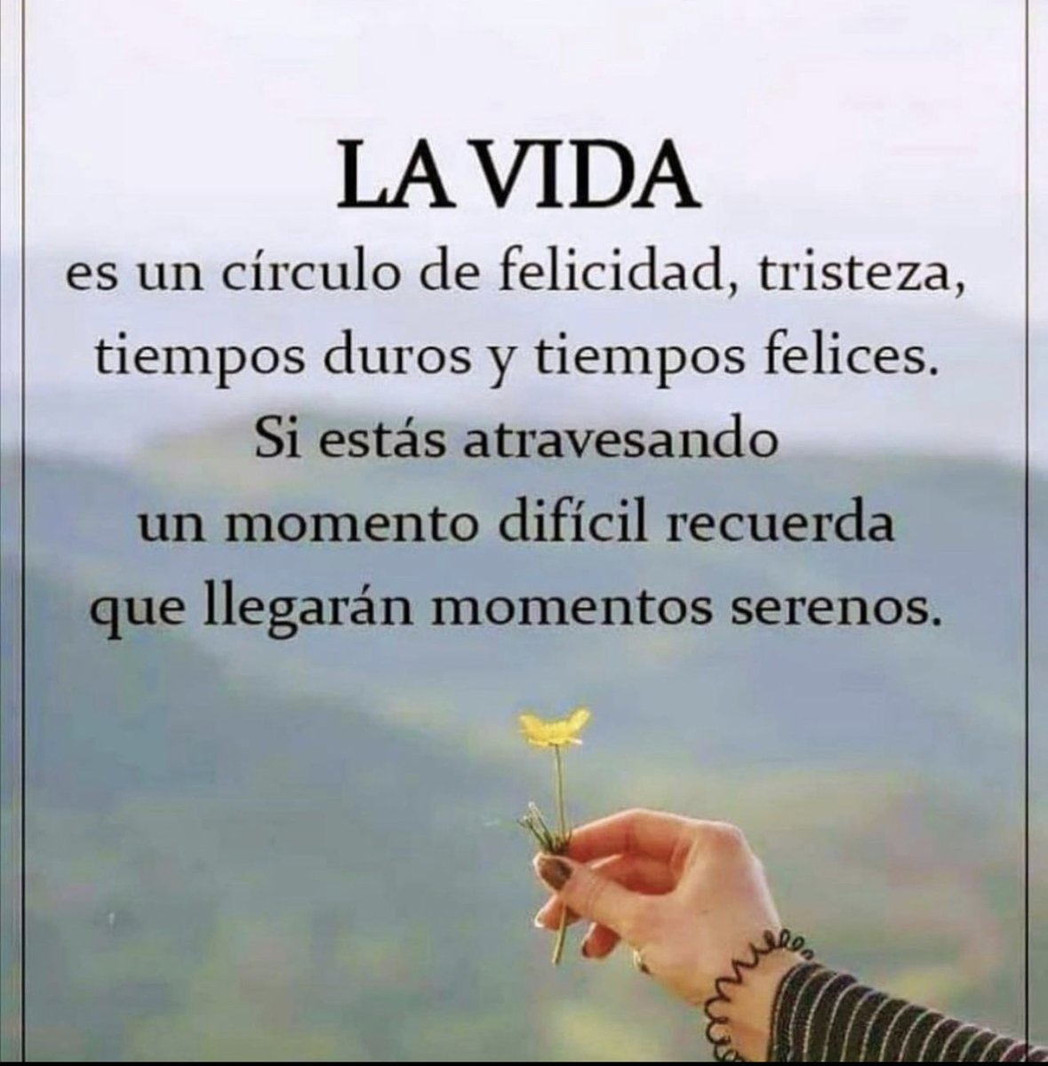 PauloCoelhoDice's tweet photo. https://t.co/Z1Bf453ZZy