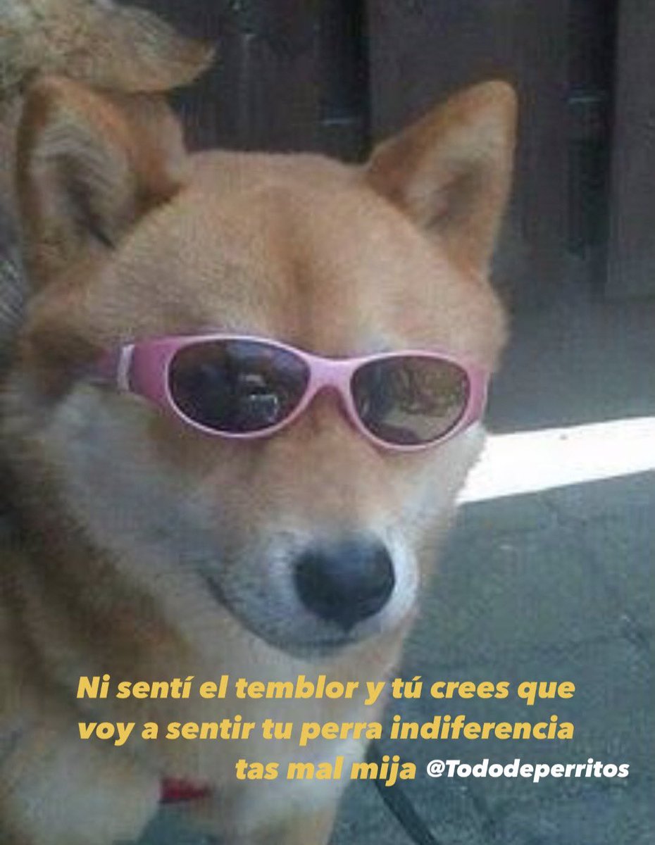 #sismo #Temblor #Tsunami #19DeSeptiembre #SimulacroNacional2022