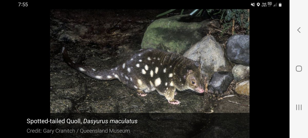 Evie Jones tweet media