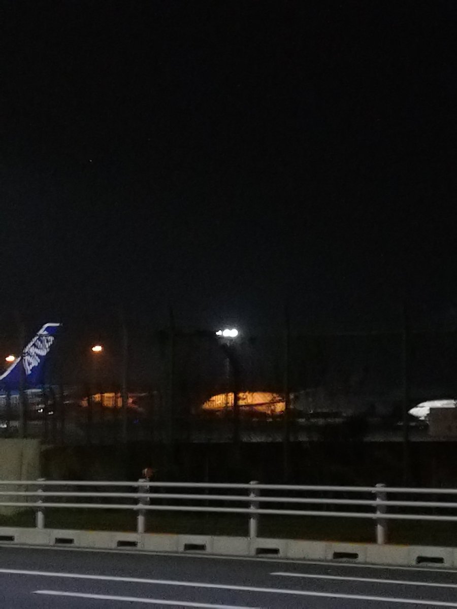 moon_rain_r's tweet photo. 日付が変わる前から居てBlind Age歌ってきた🎶
べべタン🧡後でね🧡✈
べべタン🧡✈また明日ね🧡👋明日も絶対逢えますように🙏🌠
#BB8 #JA789A #Boeing777381ER #ANA #STARWARS #STARWARSPROJECT #MayTheForceBeWithYou #HDN #Diary
#Up-Beat #BlindAge https://t.co/gDA4u8C6bn