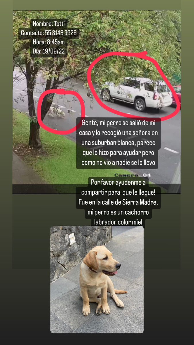 MHDMAS_'s tweet photo. ¡Se busca! Toda información será de gran ayuda. https://t.co/r7qXntzca8