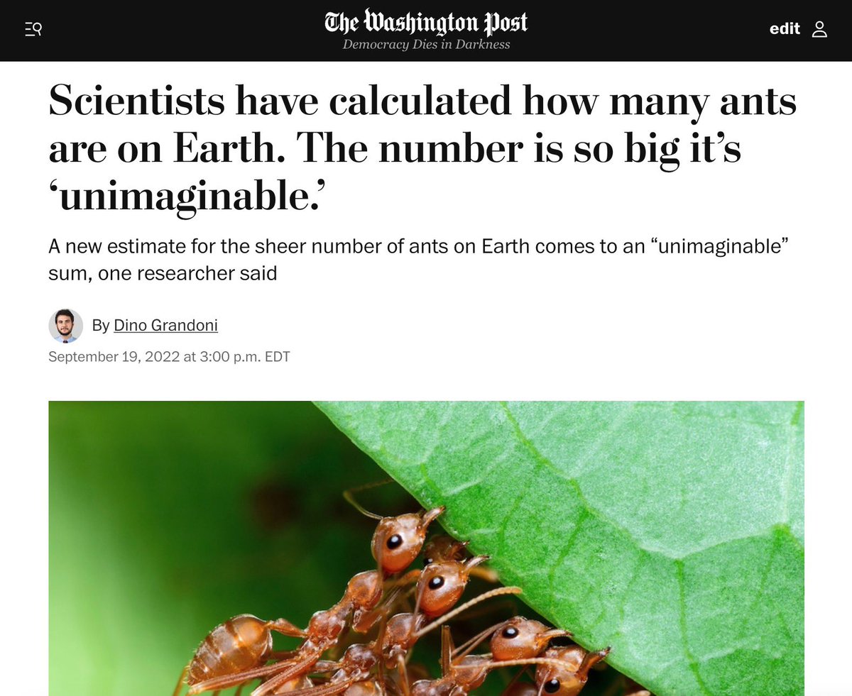 MaxKnoblauch's tweet photo. Juuuust fuckin admit you forgot to calculate the ants. Don’t insult me https://t.co/fnYTCmFbsC