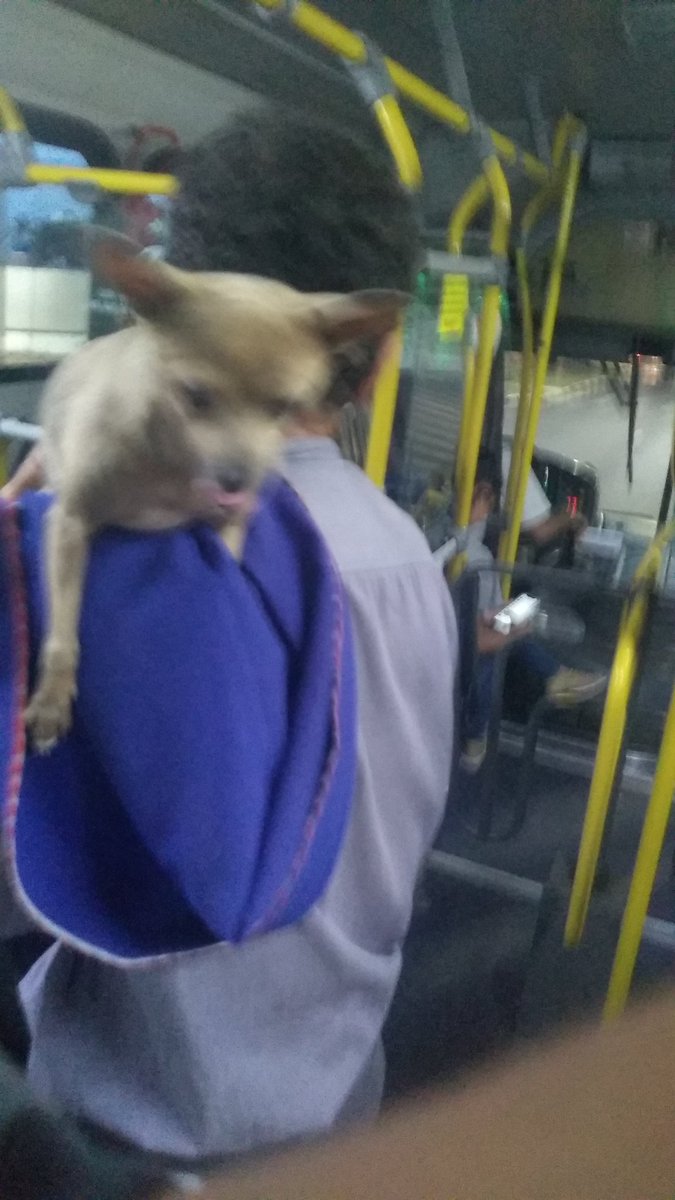 Zot mlk solto tweet media