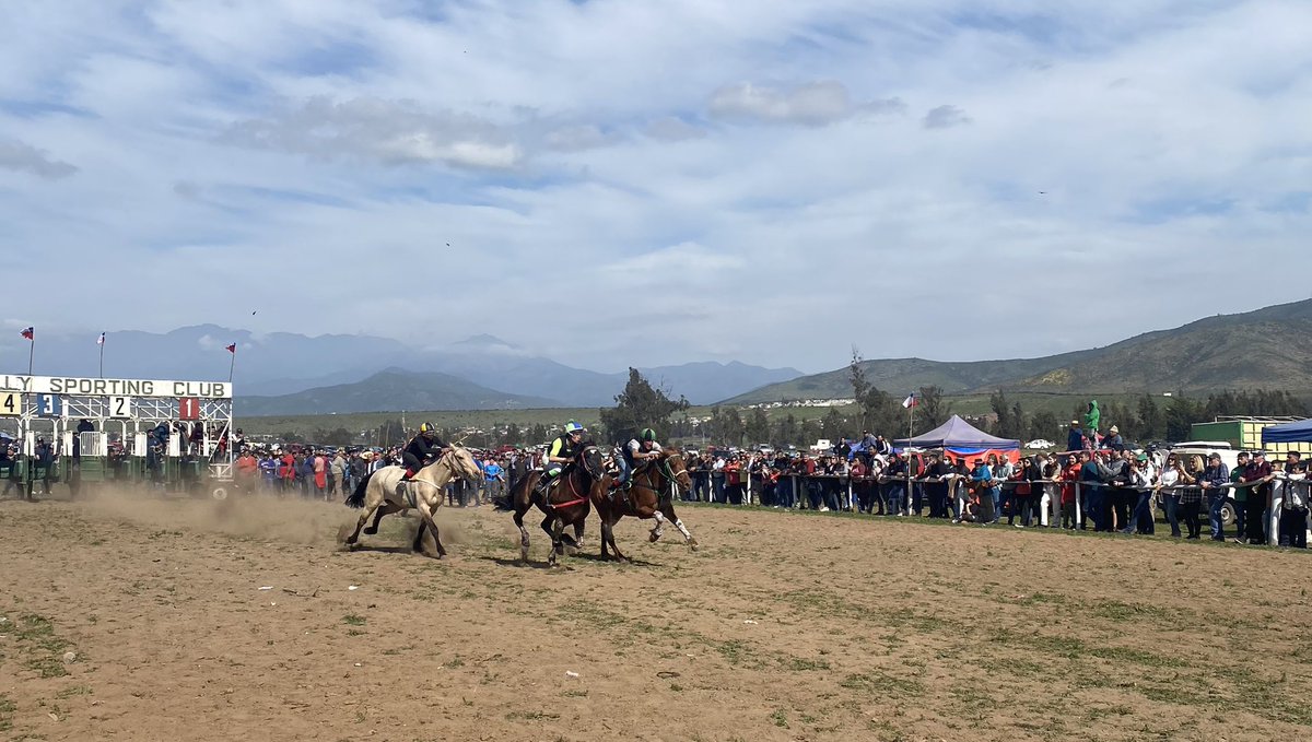 Rodo_Fernandez's tweet photo. Carreras a la Chilena en el llano de pullally …nuestras tradiciones !!!🇨🇱🇨🇱🇨🇱 https://t.co/RgcbvjFKzq