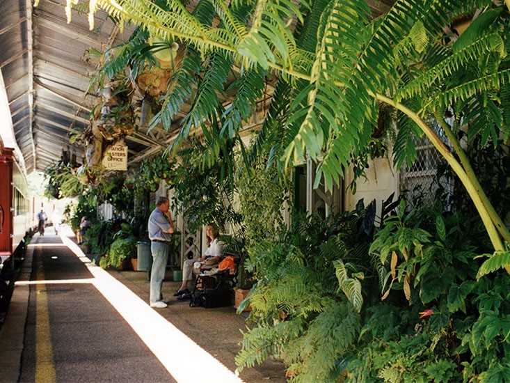 QMtropics's tweet photo. Operate the trains on time ⏰, but make the stations beautiful 🌺 🌿 For almost 80 years, #Queensland railway staff competed for the most beautiful stations, a government strategy to keep them looking ship-shape. Discover how the plan came to be: https://t.co/mKM3EuokKl #QMblog https://t.co/2QgTs5yjFf