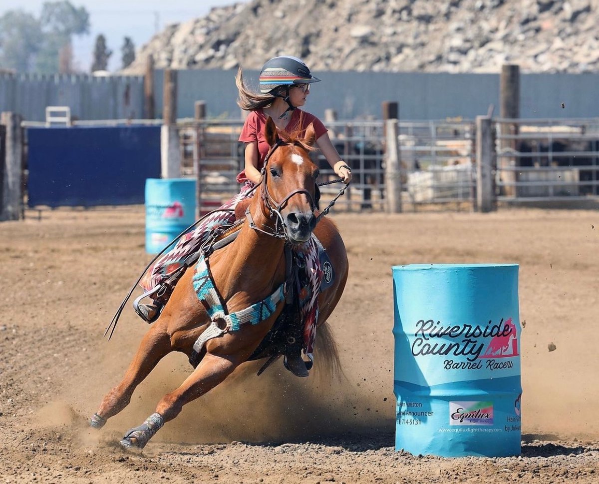 TroxelHelmets's tweet photo. Believe you can & you're halfway there 🌟❤️
.
.
.
#troxelhelmets #troxelhelmet #troxel #safetyawarenessweek #safetyweek #ridewithtroxel #rideinconfidence #tbi #tbiawareness #horsesofinstagram #westernriding #westernhelmets #barrelracing #polebending #rodeo https://t.co/6v8ygf0XyJ