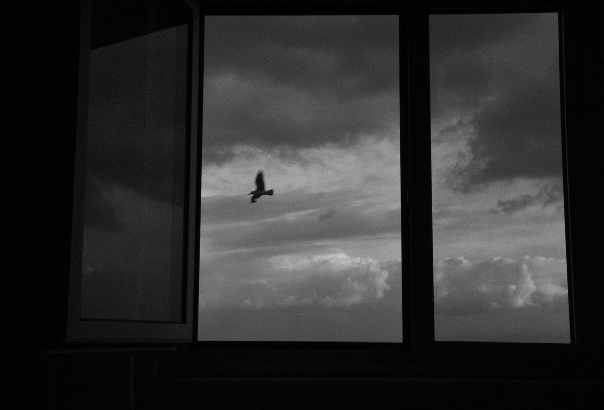 Rabia_bird's tweet photo. Gn everyone!

"Dream of Flying"
I had a dream as a child

Link below🔻

@objktcom #CleanNFTs #monochrome #1of1 https://t.co/W2tZhnz8N8