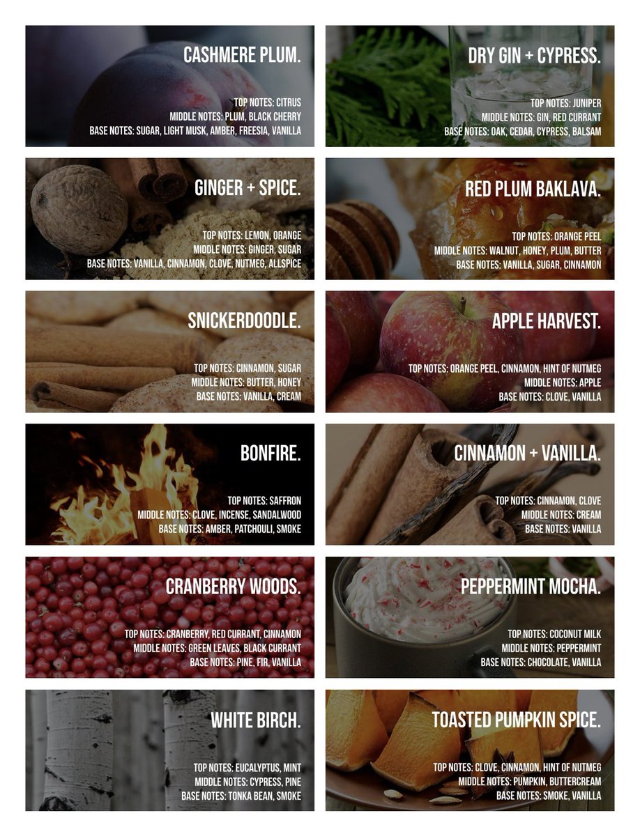 That Gay Guy Candle Co. on Twitter "Which of our Fall & Winter scents