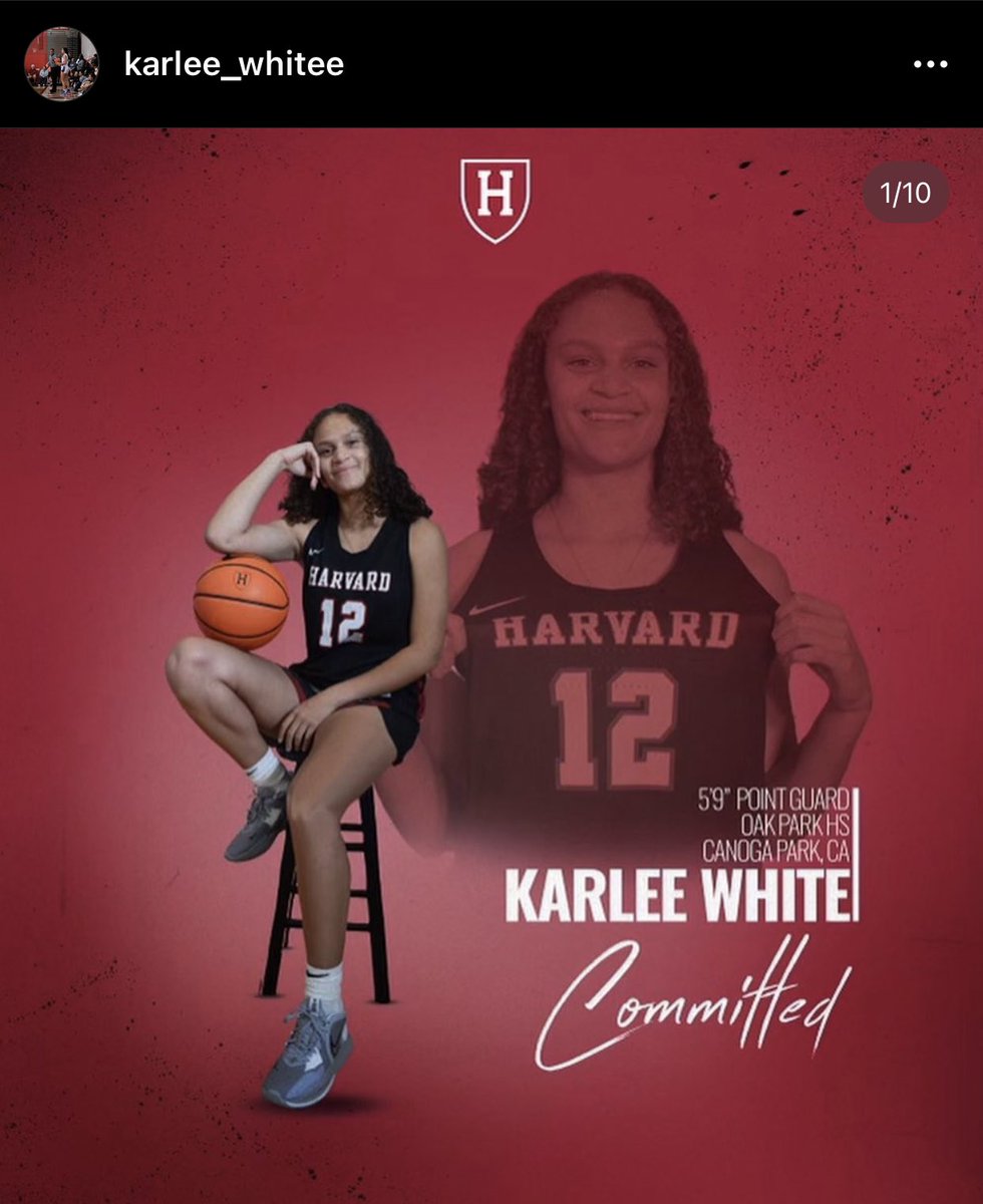 Tarek Fattal tweet media