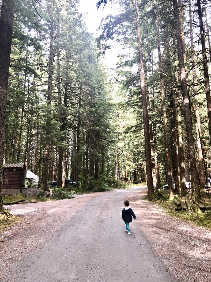 tommy_creator's tweet photo. GMです☀️

少しばかりインターネットのない山奥に篭っておりやっと帰還しました🏕

この業界の少し離れただけで話が追えなくなる流れの速さは相変わらず…😅

もう浦島さんですがまたよろしくお願いします🥺

#NFTartists #NFTCommmunity #nftjapan https://t.co/haMC2G7m0G