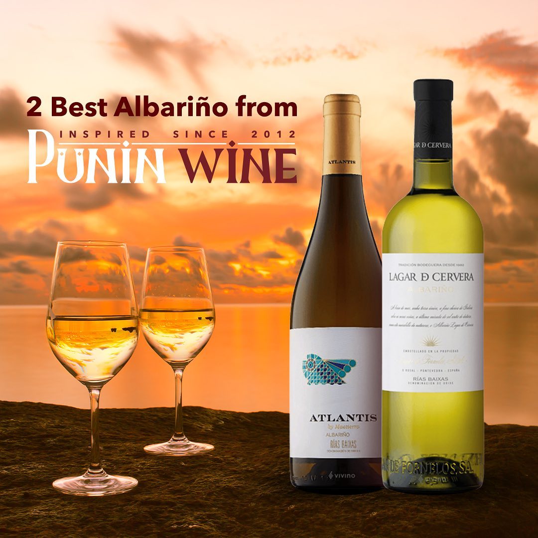 PuninWine's tweet photo. Albariño wine (“alba-reen-yo”) is a high-quality, light-bodied white that grows mostly in Spain and Portugal. It's loved for its high acidity, refreshing citrus flavors, dry taste, and subtle saltiness. #puninwine #winelover #winetasting https://t.co/Q4Gu0svs1G
