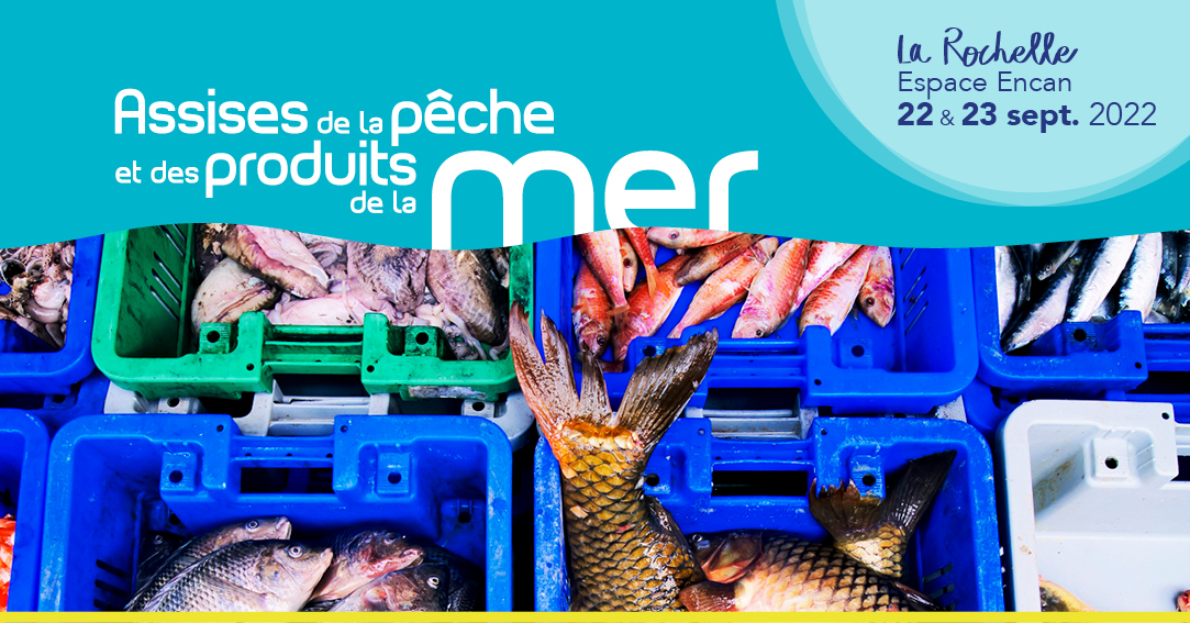 Sakana Consultants tweet media