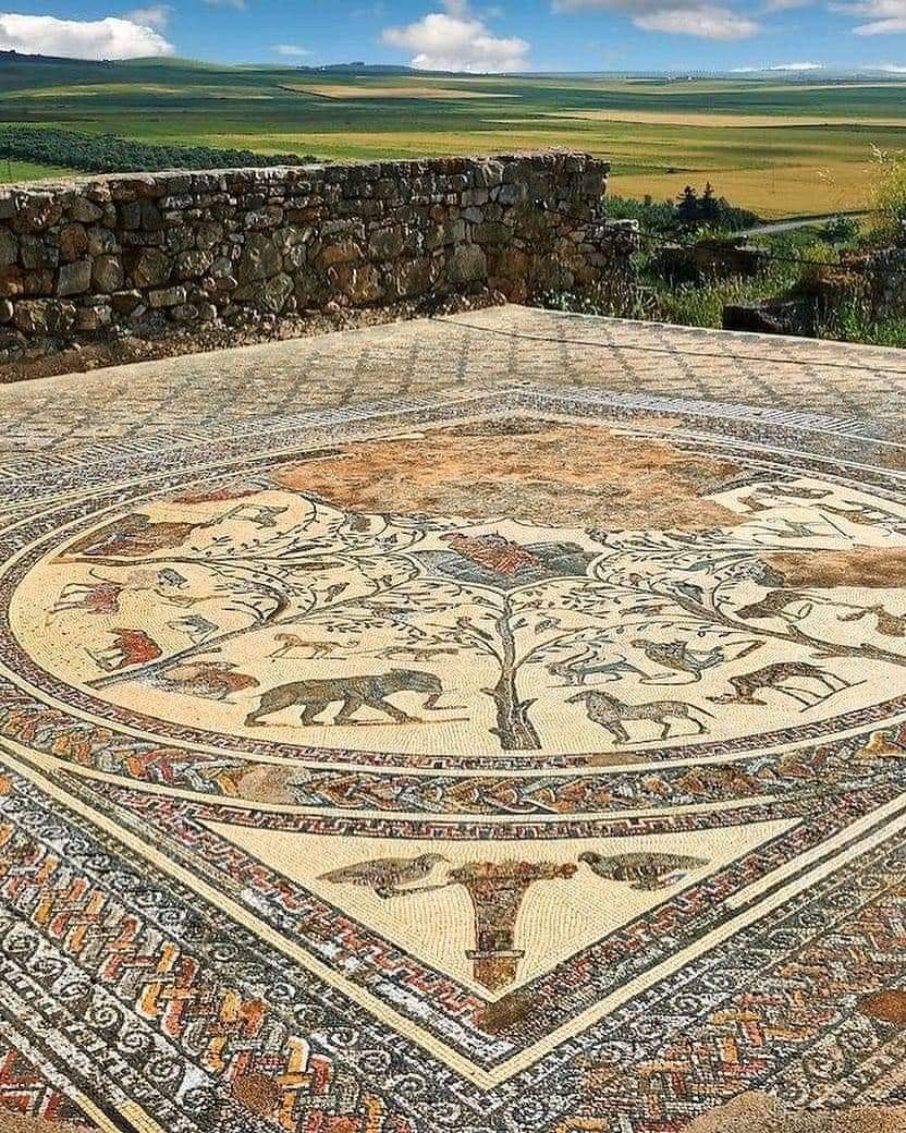 histories_arch's tweet photo. Mosaic remains from archaeological site of Volubilis, in outskirts of Meknes, Morocco.

Archaeological site was founded in 3rd century BC, and was included in the UNESCO World Heritage List in 1997.

#archaeohistories https://t.co/aCT3afzOlg
