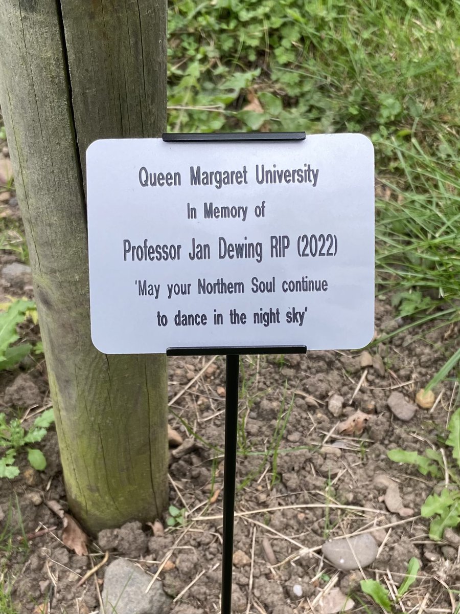 Brendan McCormack tweet media