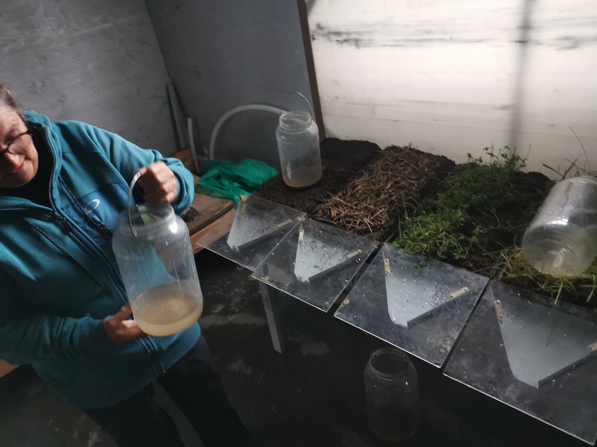 Veaulin Brice 🚜🌾🌻🌽 tweet media