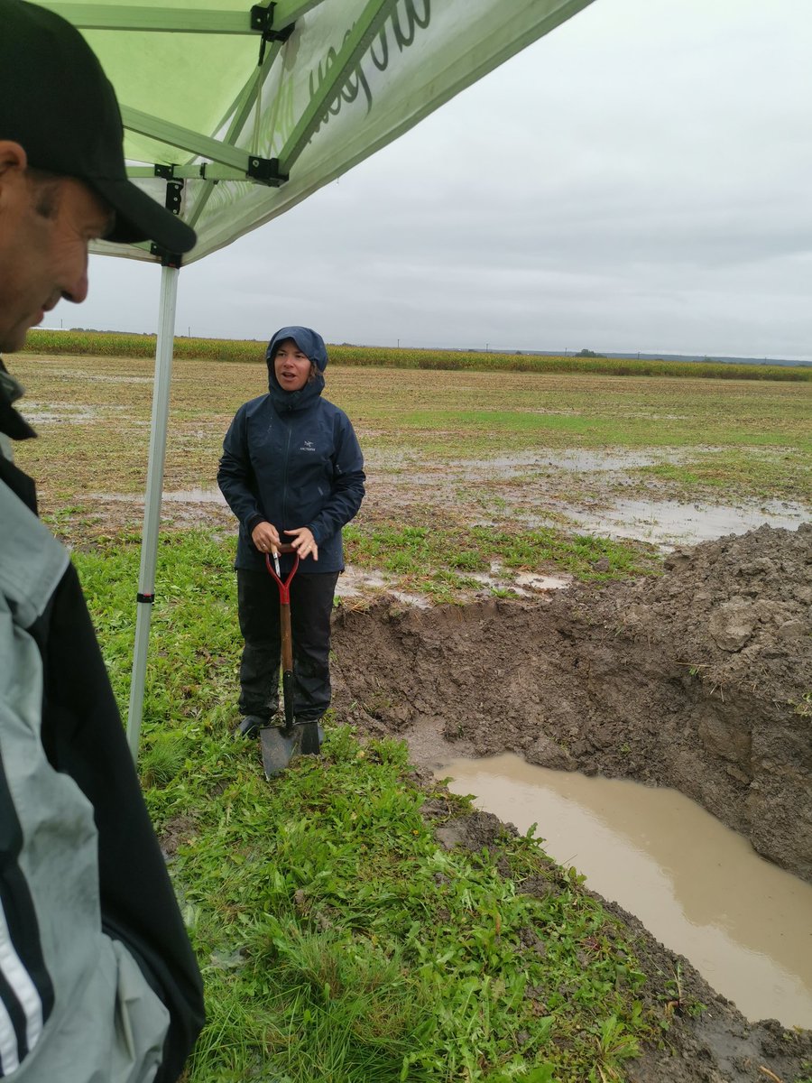 Veaulin Brice 🚜🌾🌻🌽 tweet media