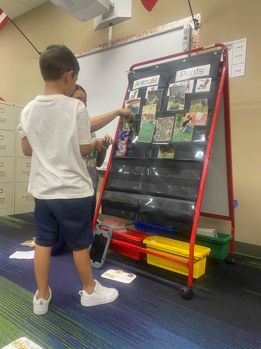 MsMedinasClass's tweet photo. My students loved showing off their plants and animals to their classmates! A HUGE thank you to all the parents that sent in the photos so we could sort #CEcheetas https://t.co/8x6AeDyZZJ