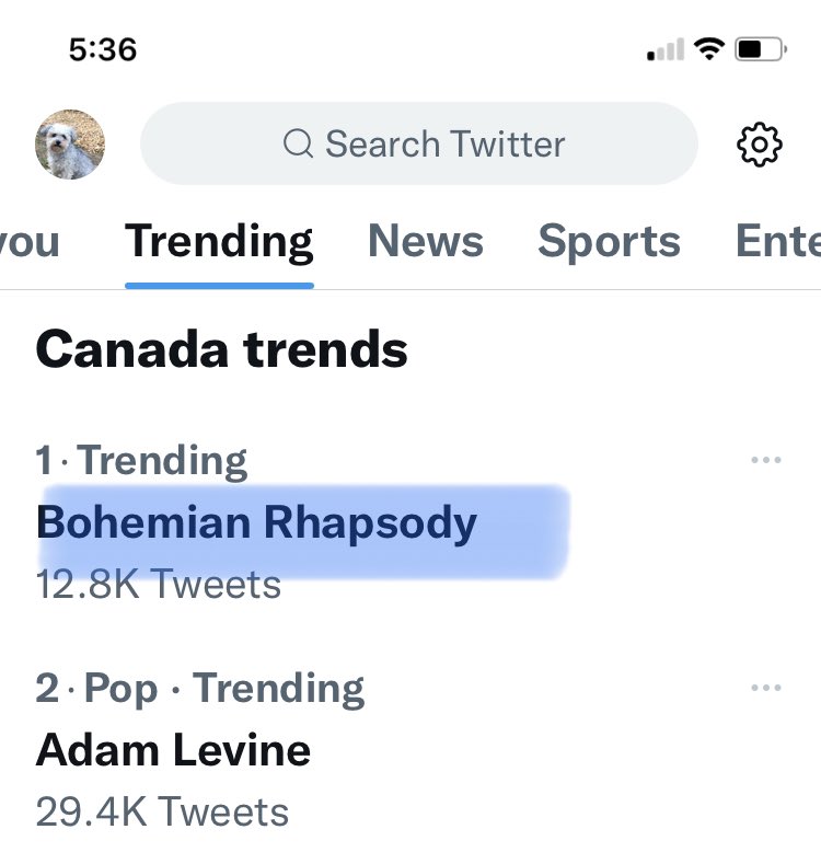 ccmbishop's tweet photo. @thevivafrei Look what’s trending now! https://t.co/oA5iWpzr4b