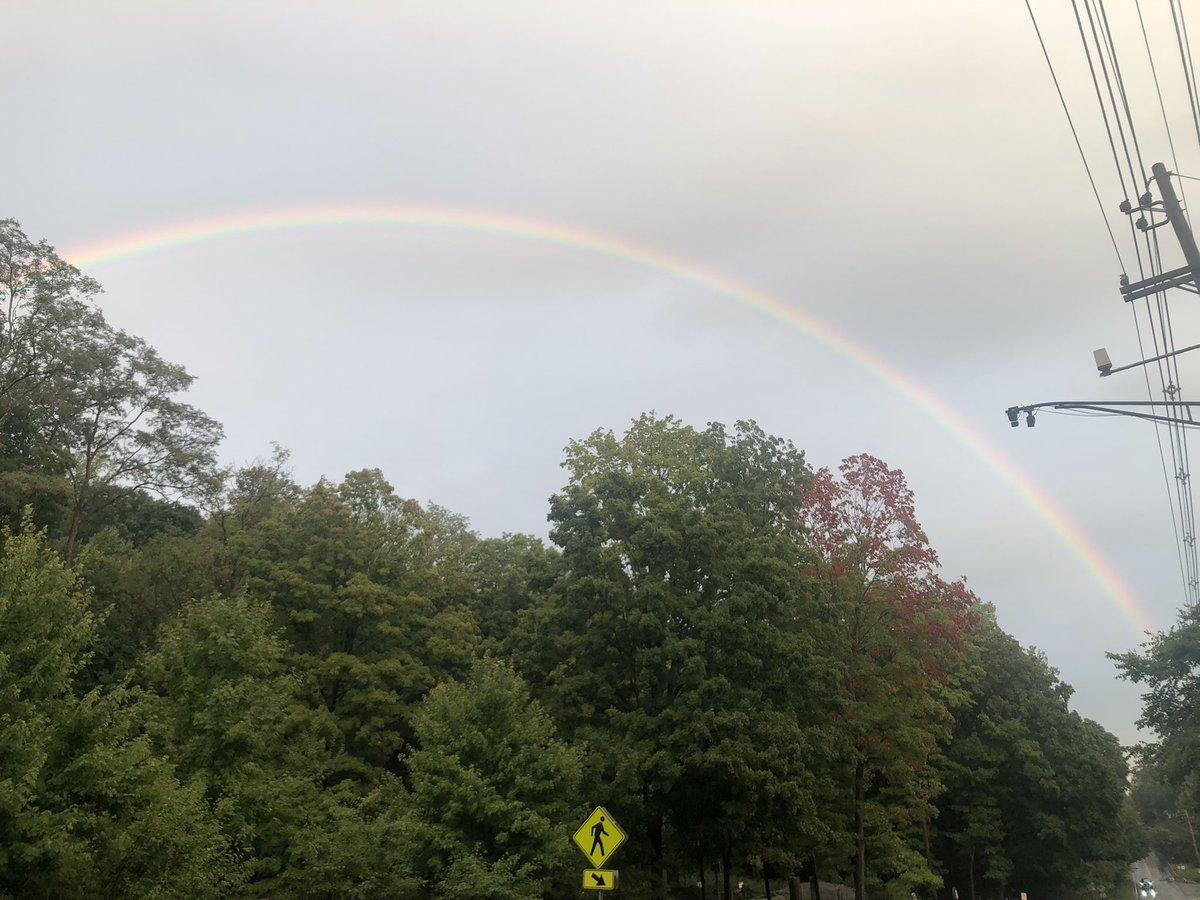 Cjjamin28's tweet photo. Haldane… the treasure under the rainbow https://t.co/znfI7qHecV