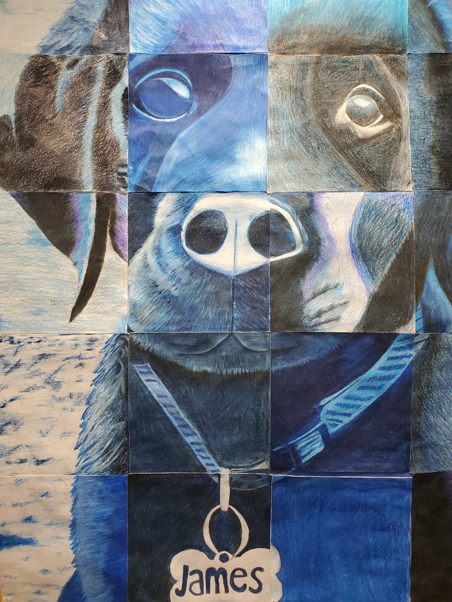 lpilvelis's tweet photo. Ms. Oliver's HS Mixed Media class @Windsor_CSD worked collaboratively to create these beautiful portraits of our favorite emotional support dog. He has grown so much! We ❤️ you James! https://t.co/Iku4bERGDp