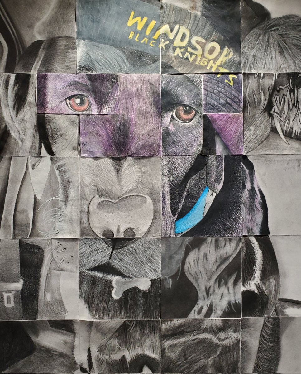 lpilvelis's tweet photo. Ms. Oliver's HS Mixed Media class @Windsor_CSD worked collaboratively to create these beautiful portraits of our favorite emotional support dog. He has grown so much! We ❤️ you James! https://t.co/Iku4bERGDp