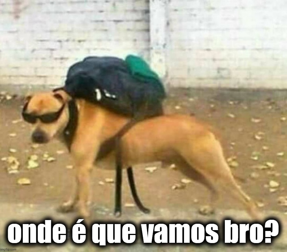 * pego nas chaves *

O meu cão: