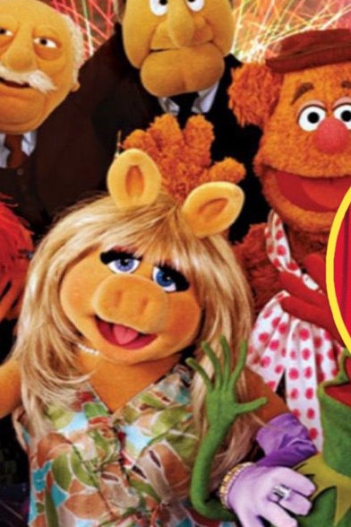 Belli i MUPPETS quest'anno!🤭#GFVIP