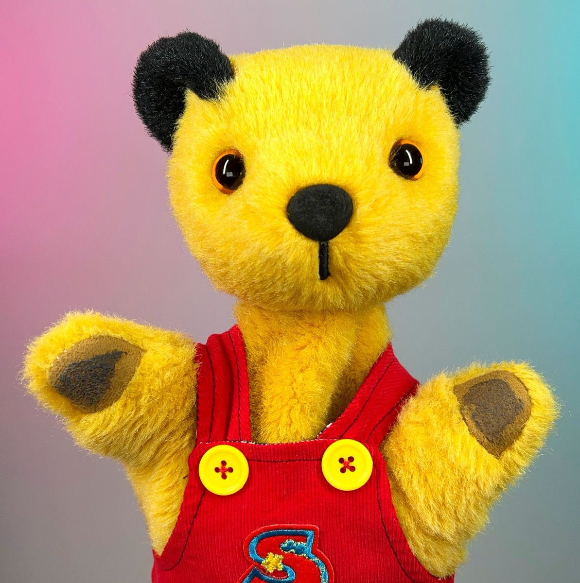 Sootyandco's tweet photo. What should Sooty put in his LinkedIn bio? 🐾🐾 https://t.co/XCHiPOEKg7
