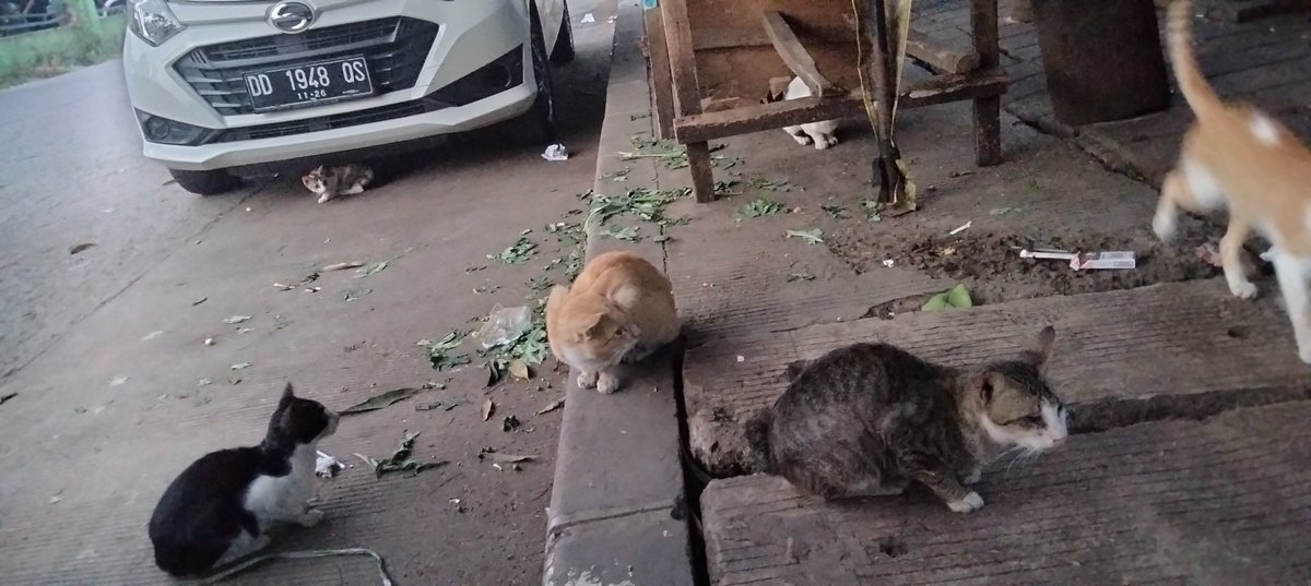 Bhineka Tunggal Koceng.. Berbagai macam warna dan pola, tetap Koceng juga, di seberang Pasar. 😇😅