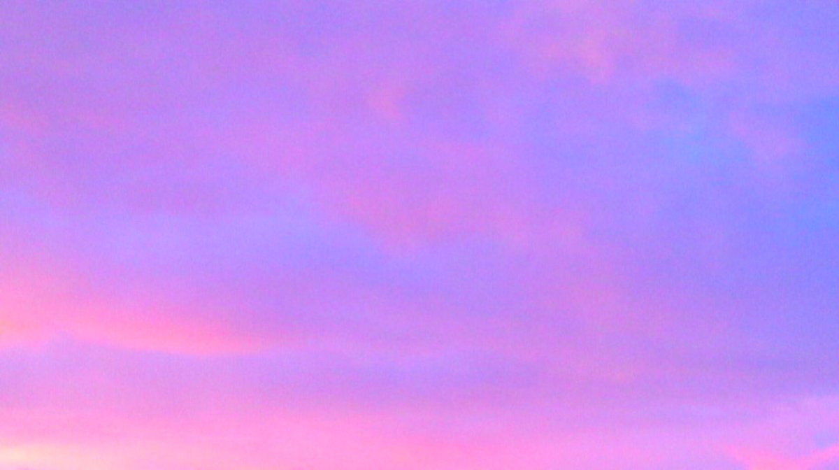 __hummingbird__'s tweet photo. 薔薇とすみれのシロップの夜明け。 https://t.co/tnFiRJYykX