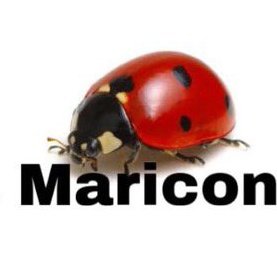 ziel (@xblxckswxn) on Twitter photo 