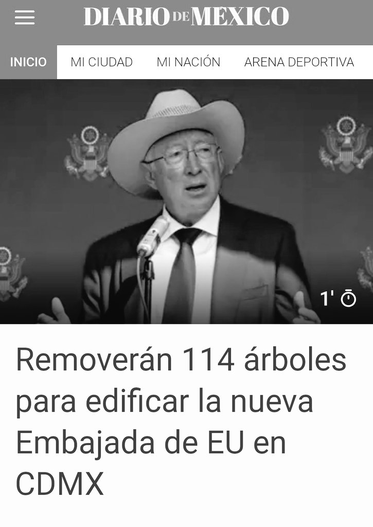 Alex Curiel 🌳🐾😷 🌬 💙 🙏 🇲🇽 tweet media