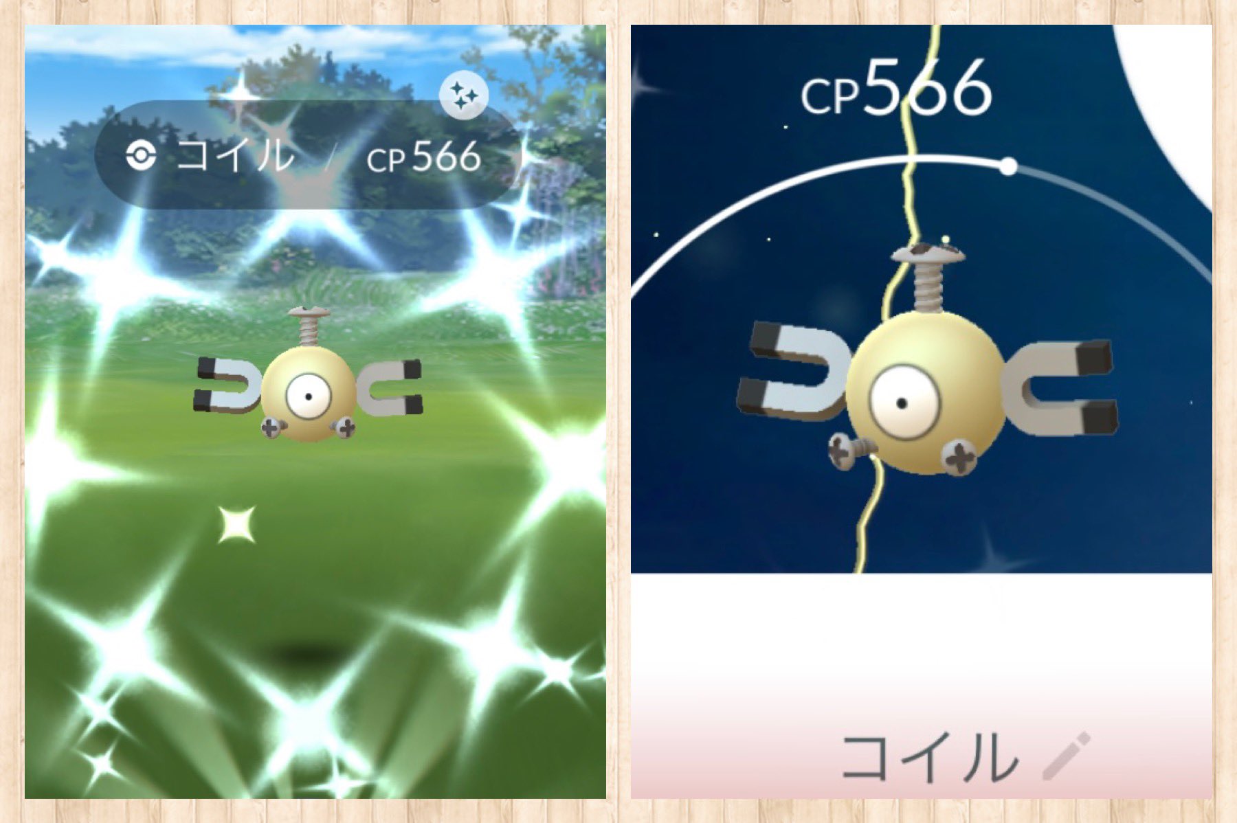 色違いコイル Twitter Search Twitter