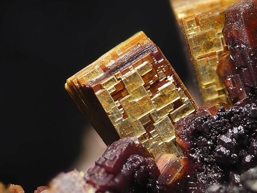 Truman Peyote tweet media