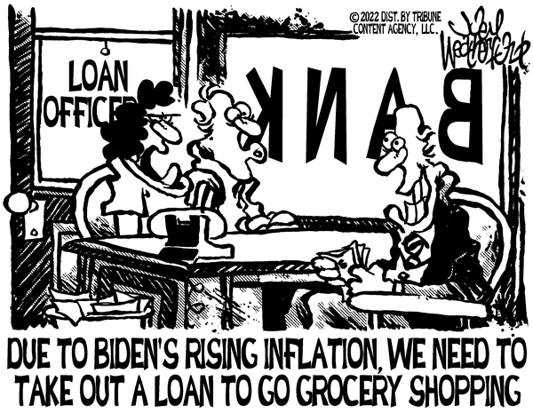 Ray Napier tweet media