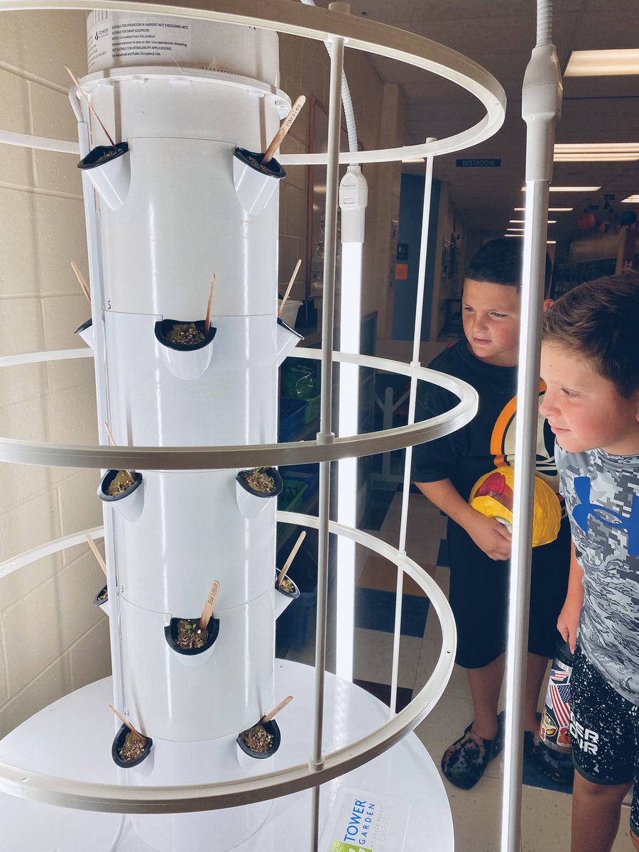 🅼🆁🆂 🅴🅻🅳🅴🆁 tweet media