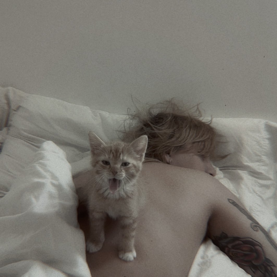 comfortkras (@comfortkras) on Twitter photo 